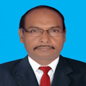 Sholla School College Teacher